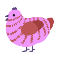 SCRIMP, a lavender and red chicken with a bar pattern