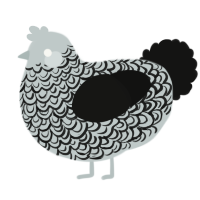 A silver and black chicken with a double-lace pattern