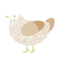 Tiratiramisumisu, a white and beige chicken with a double-lace pattern