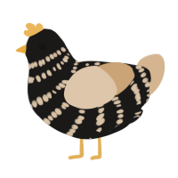 A sable and beige chicken with a bar pattern