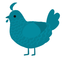 mariana, a sea chicken with a lace pattern