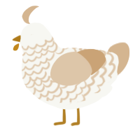 A white and beige chicken with a lace pattern