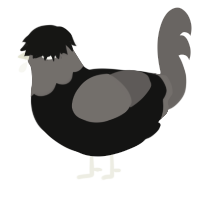A black and grey chicken with a head pattern
