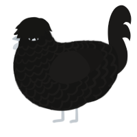 Hazel, a black and sable chicken with a lace pattern