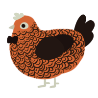 A vermilion and sable chicken with a double-lace pattern