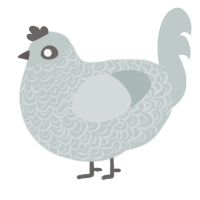 Flurry, a silver chicken with a double-lace pattern