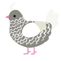 A ash and white chicken with a lace pattern