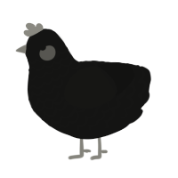 Black Xmas, a black chicken with a lace pattern