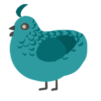 A aqua and teal chicken with a half-lace pattern