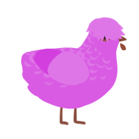 A orchid chicken with a half-lace pattern