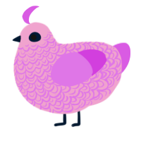 A pink and orchid chicken with a double-lace pattern