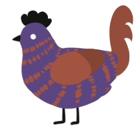 A overcast and russet chicken with a bar pattern