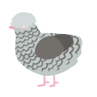 The Pebble, a silver and grey chicken with a lace pattern