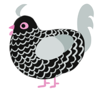 A black and silver chicken with a lace pattern