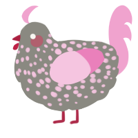 Rose, a ash and pink chicken with a speckle pattern