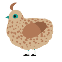 A beige and brown chicken with a speckle pattern