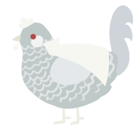 A silver and mist chicken with a lace pattern