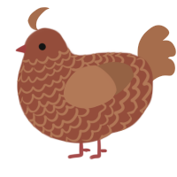 A russet and brown chicken with a lace pattern