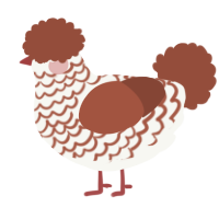 A white and russet chicken with a lace pattern