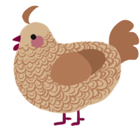 A beige and brown chicken with a double-lace pattern