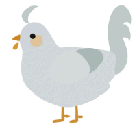 A mist and silver chicken with a double-lace pattern