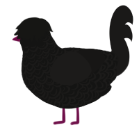 A black and sable chicken with a double-lace pattern