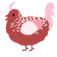 Kriss, a red and rose chicken with a half-lace pattern
