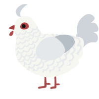 A white and mist chicken with a lace pattern