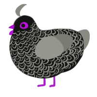 A black and ash chicken with a double-lace pattern