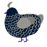 A tumblr and ash chicken with a lace pattern