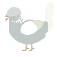 A silver and white chicken with a neck-speckle pattern