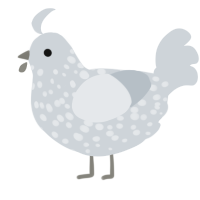 Christmas Child, a mist chicken with a speckle pattern