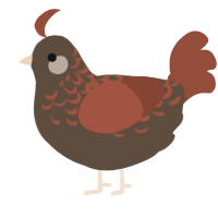 A bark and russet chicken with a half-lace pattern