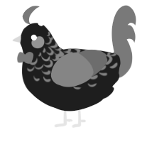 Damien, a sable and grey chicken with a half-lace pattern