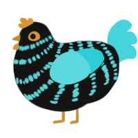 Guy, a black and aqua chicken with a bar pattern