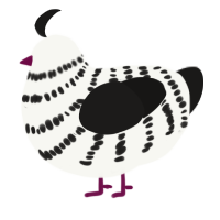 A white and sable chicken with a bar pattern