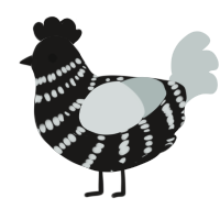 A sable and silver chicken with a bar pattern