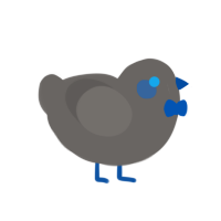 baby blue, a grey chicken