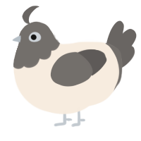 Stripe, a cream and grey chicken with a head pattern