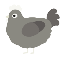 Silver, a ash and grey chicken