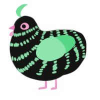 A black and spring chicken with a bar pattern