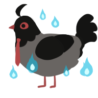 montag, a grey and black chicken with a head pattern