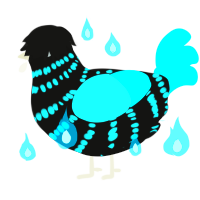 A black and aqua chicken with a bar pattern