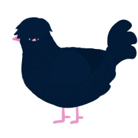 (unnamed), a tumblr chicken with a lace pattern