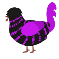 (unnamed), a sable and amethyst chicken with a bar pattern