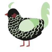 A sable and gluppy chicken with a lace pattern