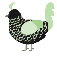 A sable and gluppy chicken with a lace pattern