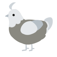 A ash and mist chicken with a head pattern