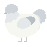 A white and mist chicken with a head pattern