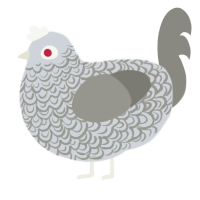 A mist and ash chicken with a double-lace pattern